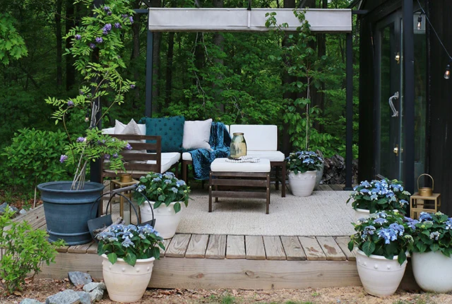 mulched-planting-bed-backyard 