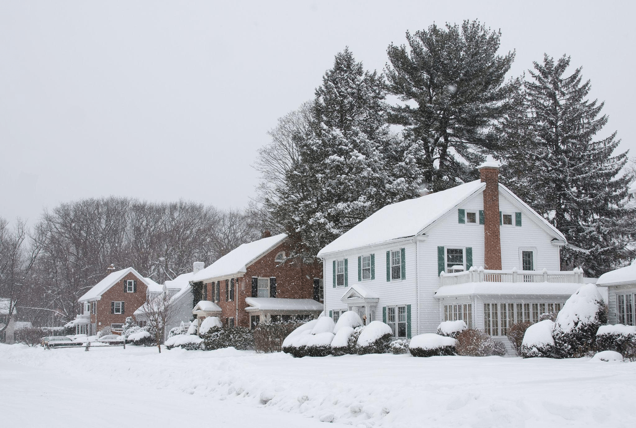 Snow on roofs, trees, and vents
